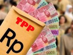 TPP ASN Pemprov Sulsel Mulai Dibayarkan Secara Bertahap