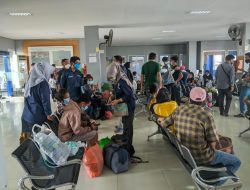 101 Pekerja Migran Dideportasi dari Malaysia, 14 Warga Bulukumba
