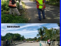 Rawan Kecelakaan, Plt Gubernur Sulsel Bangun dan Perlebar Jembatan S. Palattae Bone