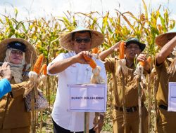 Bupati Bulukumba Ajak Pemuda untuk Bertani, Andi Utta: Jangan Gengsi
