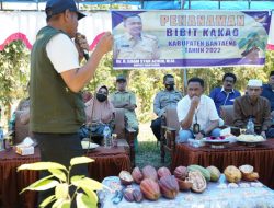 Pemkab Bantaeng Mulai Tanam 406 Bibit Kakao di Dua Desa