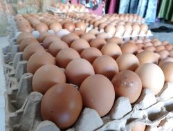 Harga Telur di Pasar Sentral Bulukumba tembus Rp. 55 Ribu