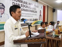 Penuhi Keamanan Pangan, Diskes Lutra Sosialisasi KIE