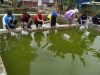 Dukung Program Pembinaan Kemandirian, Dinas Perikanan Salurkan Bantuan Benih Ikan Nila ke Lapas Bulukumba