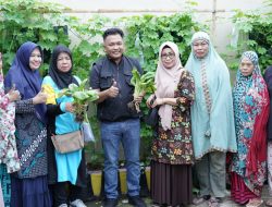 Ibu-ibu Bantaeng Makin Produktif Kembangkan Pertanian Organik di Pekarangan Rumah