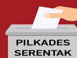 Pilkades Serentak Sinjai, Dari 63 Calon 7 Perempuan