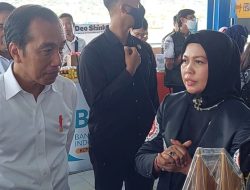 Jokowi Tertarik ke Bulukumba, Ajak Ngobrol Ketua Dekranasda Bulukumba Soal Pinisi dan Pantai Bira