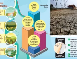 Waspadai El Nino, Mentan Minta Petani Menanam Maksimal 14 Hari Setelah Panen