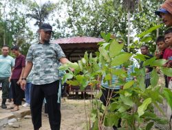 Gubernur Sulsel Lakukan Penanaman 500 Pohon Produktif di Bone