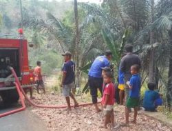 Kebakaran di Lahan Perkebunan Warga di Bulupoddo, Damkar Turunkan 2 Mobil Pemadam