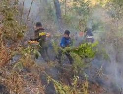 Meski Tidak Didukung Dana Operasional, Petugas KPH Bialo Tetap Serius Tangani Kahutla di Bantaeng