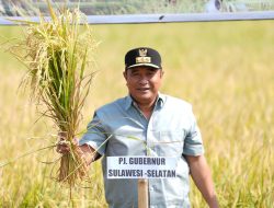 Petani Bajeng Panen Padi di Tengah El Nino, Pj Gubernur Beri Pujian