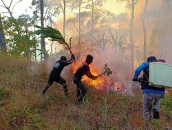 Puluhan Hektar Karhutla di Bantaeng, Titik Api Telah Padam