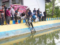 21.000 Benih Ikan Ditebar di Kolam Desa Wollangi, Program Ketahanan Pangan Pj Gubernur Sulsel