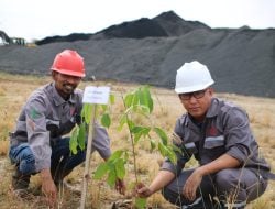 Kurangi Dampak Lingkungan, Huadi Group Gelar Penanaman Pohon