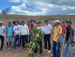 Pj Gubernur Bahtiar Ajak Putranya Tanam Durian di Kebun Bupati Andi Utta