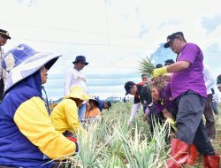 Petani Bawang Enrekang Antusias Bertemu Pj Gubernur Sulsel, Ceritakan Mampu Kuliahkan Anak dari Hasil Jual Bawang