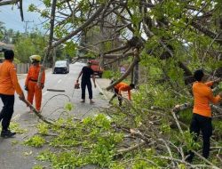 Musim Penghujan Tiba, Siaga Hadapi Bencana