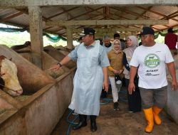 Di Pinrang, Pj Gubernur Sulsel Kunjungi Bangsal Pasca Panen, Tebar Benih Ikan dan Inseminasi Buatan