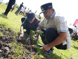 50 Ribu Bibit Dibagikan pada Launching Sedekah Pohon Sekaligus Buka Puasa Akbar di Bone