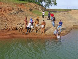 600 Ribu Benih Ikan Kembali Ditebar di Kabupaten Bone