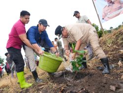 Dorong Skala Industri, Pj Gubernur Sulsel Galakkan Penanaman 2 Juta Pohon Nangka Madu di Sulsel
