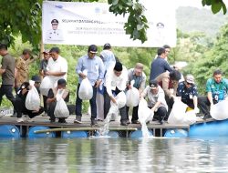 Pj Gubernur Sulsel Tebar 200 Ribu Benih Ikan Nila di Barru