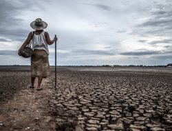 Perubahan Iklim Ancam Ketahanan Pangan Bulukumba, Pemkab Siapkan Perbup Adaptasi