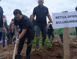 Ketua DPRD H Rijal Hadiri Penanaman Pohon di Kebun Andi Utta