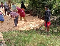 Bantu Petani, Pemdes Lamanda Programkan Jalan Tani