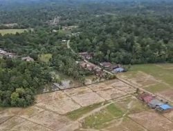 Banjir Luwu, Pj Gubernur Sulsel Pastikan Evakuasi dan Distribusi Bantuan di Wilayah Terisolir
