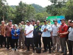 Pj Gubernur Sulsel Galakkan Budi Daya Sukun Bersama Warga Kota Palopo