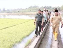 Masuki Musim Tanam, Pj Bupati Bantaeng Tinjau Lahan Pertanian Milik Warga