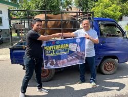 Huadi Group Distribusi Sapi Kurban untuk Warga Bantaeng