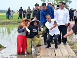 Presiden Jokowi Harap Bantaeng jadi Pemasok Beras ke IKN