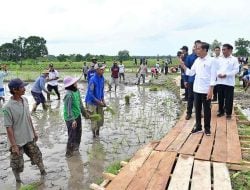 Presiden RI Jokowi Harap Petani di Desa Layoa Bantaeng Bisa Panen Dua Hingga Tiga Kali Setahun