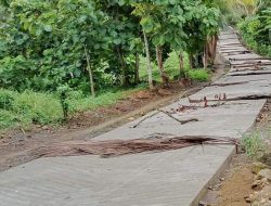 Bantu Petani, Pemdes Tugondeng Perbaiki Jalan Tani