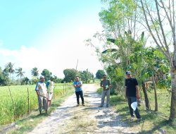 Dukung Produktivitas Petani, Desa Padangloang Jadi Penerima Program Pisew