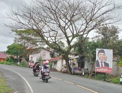 Bahayakan Pengendara, Warga Minta DLHK Tebang Pohon Mati