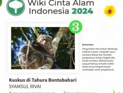 Guru SMAN 11 Bulukumba Juara Tiga Kompetisi Fotografer Tingkat Nasional