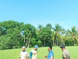 Alokasikan Anggaran Desa, Pemdes Padangloang Programkan Pembangunan Drainase dan Duicker