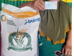 Pemdes Seppang  Kembali Distribusikan Bantuan  Beras