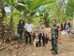 Polres Bantaeng Grebek Judi Sabung Ayam di Tompobulu