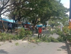 Antisipasi Kerawanan Bagi Pengendara, BPBD Lakukan Pemangkasan Pohon