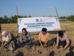 Program Lumbung Pangan Baznas Pemberdayaan Petani Mustahik