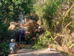 Percepatan Pembangunan Infrastruktur Melalui Padat Karya Tunai Desa