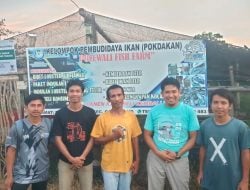 KT Rongoa Sipatuju Lakukan Studi Tiru di Pokdakan Polewali Fish Farm