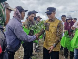 Bangkitkan Hortikultura yang Unggul, Pemprov Sulsel Tanam Jutaan Batang Pohon