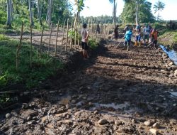 Pembangunan Jalan Tani, Pemdes Lonrong Alokasikan Rp 135 Juta