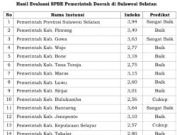 Jeneponto Raih Predikat Baik dalam Penilaian Indeks SPBE Tahun 2024